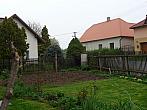 Třibřichy